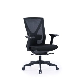 Kancelářská ergonomická židle Office Pro NYON – více barev Černá