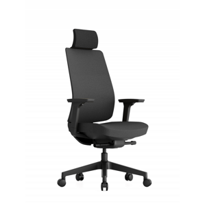 Kancelářská ergonomická židle OFFICE PRO K50 — černá, více barev Černá