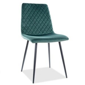 Jídelní židle IRYS — kov, látka, více barev Zelená