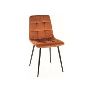 Jídelní židle MILA — kov, látka, černá / více barev Skořicová