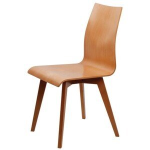 Dřevěná jídelní židle SASKIE  – masiv, více barev