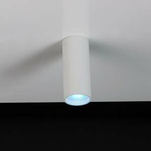 Eco-Light LED stropní bodové světlo Stag, CCT a RGBW, bílá