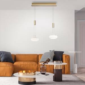 Q-Smart-Home Paul Neuhaus Q-ETIENNE LED závěsné světlo 2x mosaz