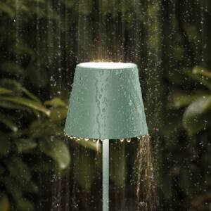Sigor LED stolní lampa Nuindie aku kulatá 38cm šalvějová