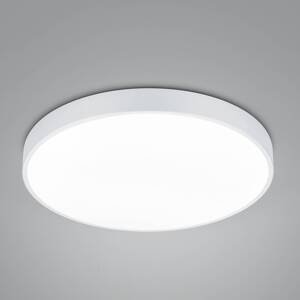 Trio Lighting Stropní svítidlo LED Waco, CCT, Ø 49,5 cm, matná bílá
