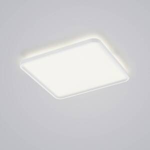 Helestra Helestra Vesp LED panel backlight 61x61cm bílá