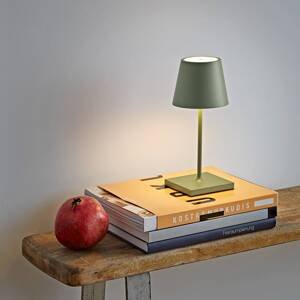 Sigor Nuindie mini LED dobíjecí stolní lampa, kulatá, USB-C, šalvějově zelená