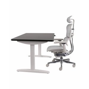 Halmar - Set: Kancelářské křeslo Ergohuman 2 Luxury + Nastavitelný psací stůl Alto 102 White