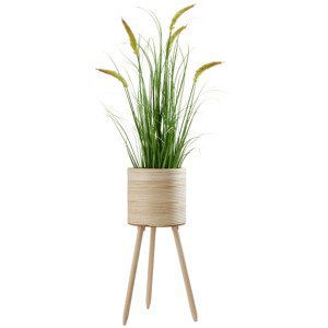 Obal Na Květináč Bamboo, V: 65,5cm