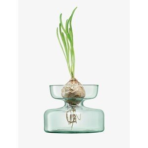Váza/skleněný květináč, výška 10 cm, čirý - LSA International