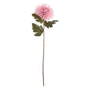 FLORISTA Chryzantéma 73 cm - růžová