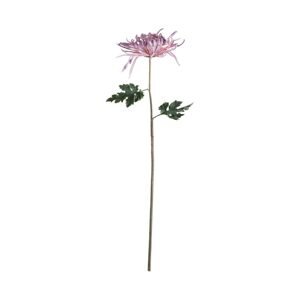 FLORISTA Chryzantéma 68 cm - fialová