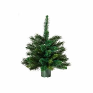 TREE OF THE MONTH Vánoční stromek 60 cm - zelená