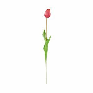 FLORISTA Tulipán 47 cm - růžová