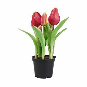 FLORISTA Tulipány "Real Touch" v květináči - růžová