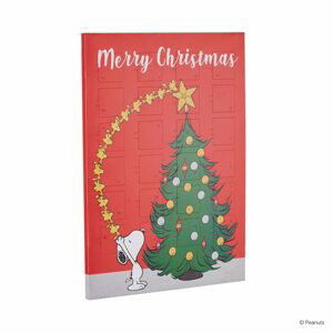 PEANUTS Adventní kalendář "Merry X-Mas" 65g