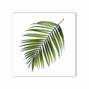 Obraz Styler Canvas Greenery Black Palm, 32 x 32 cm