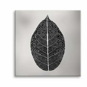 Obraz Styler Canvas Silver Uno Black Leaf, 65 x 65 cm