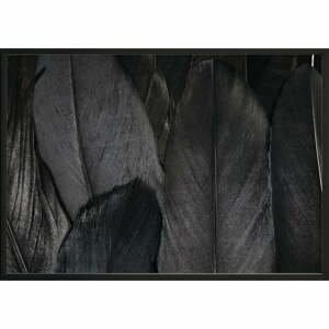 Plakát DecoKing Feathers Black, 70 x 50 cm