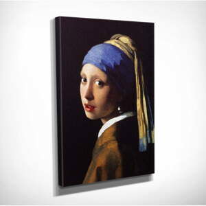 Nástěnná reprodukce na plátně Johannes Vermeer The Girl with Pearl, 30 x 40 cm