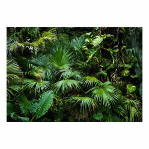 Velkoformátová tapeta Bimago Sunny Jungle, 400 x 280 cm
