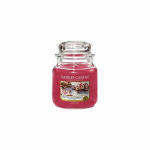 Vonná svíčka Yankee Candle Frosty Gingerbread, doba hoření 65 h