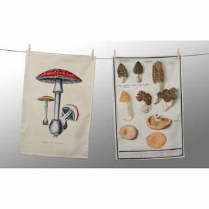 Sada 2 ubrousků Tierra Bella Botanical Fungi, 47 x 65 cm