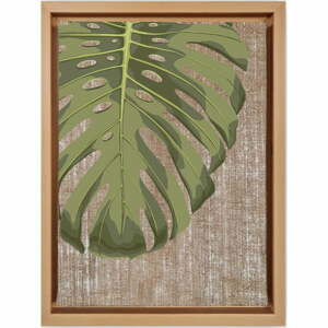 Obraz 36x46 cm Monstera – Wallity