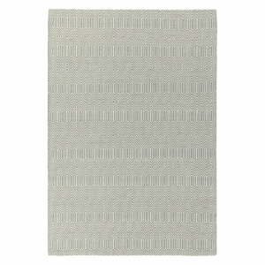 Světle šedý vlněný koberec 160x230 cm Sloan – Asiatic Carpets