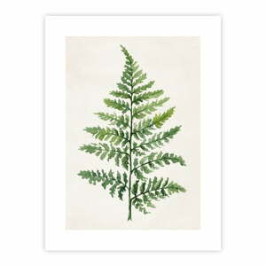 Plakát 40x50 cm Fern – knor