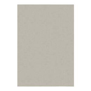Krémový koberec 140x200 cm – Flair Rugs