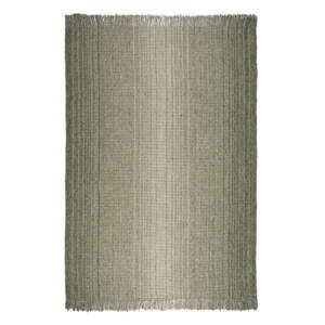 Zelený koberec 160x230 cm – Flair Rugs