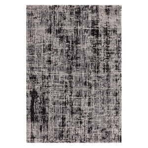 Šedý koberec 160x230 cm Kuza – Asiatic Carpets