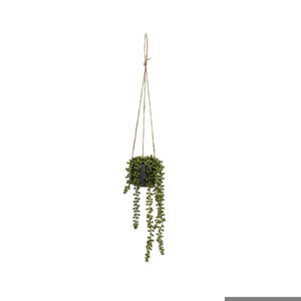 Umělá rostlina (výška 37 cm) Senecio – Casa Selección