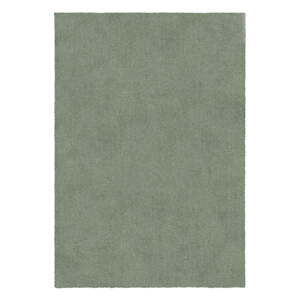 Zelený pratelný koberec z recyklovaných vláken 200x290 cm Fluffy – Flair Rugs