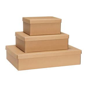 Kartonové úložné boxy s víkem v přírodní barvě v sadě 3 ks 44x31x10 cm Storeit – Hübsch