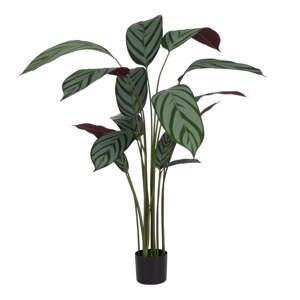 Umělá rostlina (výška 150 cm) Calathea – Ixia