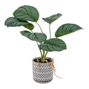 Umělá rostlina (výška 32 cm) Maranta – Ixia