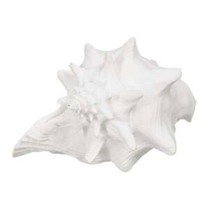 Soška z polyresinu (výška 13 cm) Seashell – Ixia