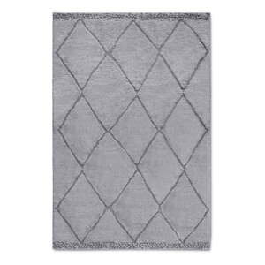 Šedý koberec 80x120 cm Perrotin Light Grey – Elle Decoration