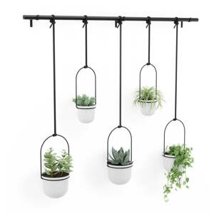 Závěsný plastový obal na květináč na bylinky 5 ks ø 7,5 cm Triflora – Umbra