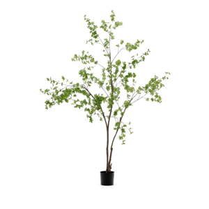 Umělá rostlina (výška 214 cm) Enkianthus – Kave Home