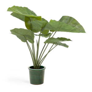 Umělá rostlina (výška 57 cm) Odora – Kave Home