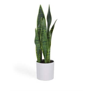Umělá rostlina (výška 55 cm) Sansevieria – Kave Home