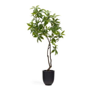 Umělá rostlina (výška 180 cm) Pachira – Kave Home