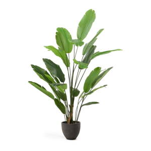 Umělý banánovník (výška 210 cm) – Kave Home