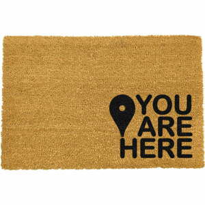 Černá rohožka z přírodního kokosového vlákna Artsy Doormats You Are, 40 x 60 cm