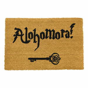 Rohožka z přírodního kokosového vlákna Artsy Doormats Alohomora, 40 x 60 cm