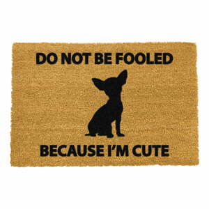 Rohožka z přírodního kokosového vlákna Artsy Doormats Chihuahua, 40  x  60 cm