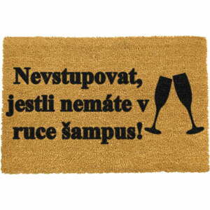 Rohožka z přírodního kokosového vlákna Artsy Doormats Šampus, 40 x 60 cm